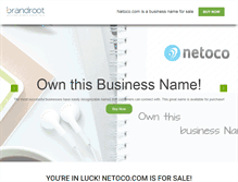 Tablet Screenshot of netoco.com